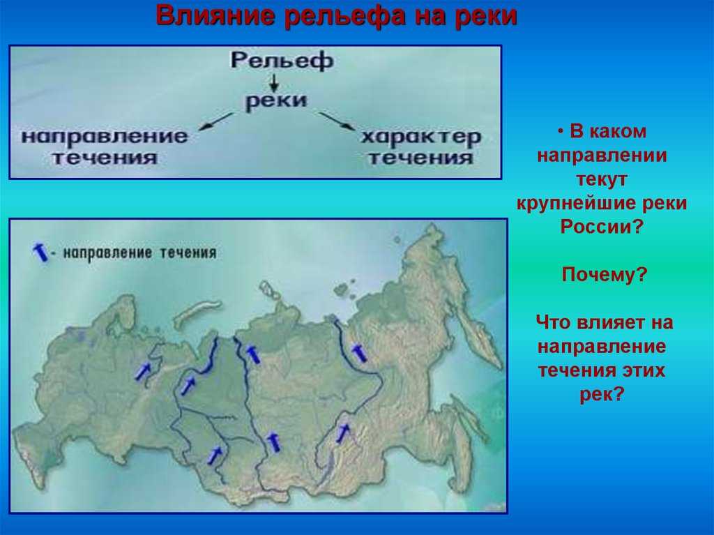 Река амазонка: длина в километрах, приток, кто вводиться в водах