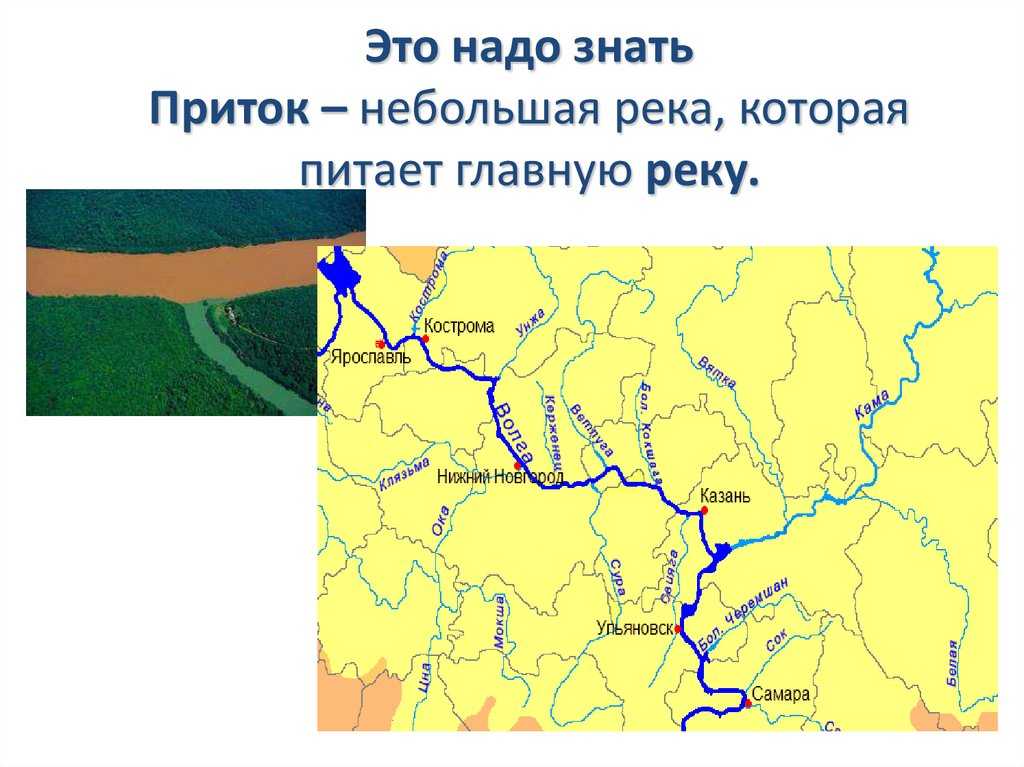 Реки ивановской области. какие реки есть в ивановской области?