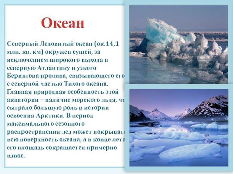 Интересные факты о северном ледовитом океане