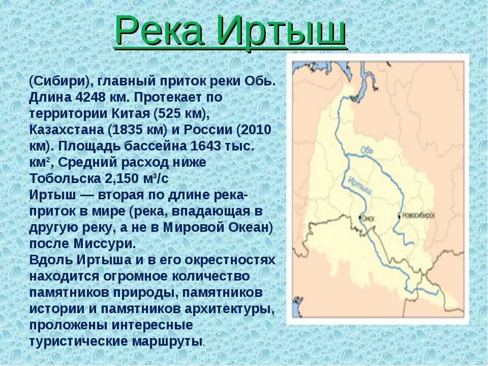 Что такое овуляция?
