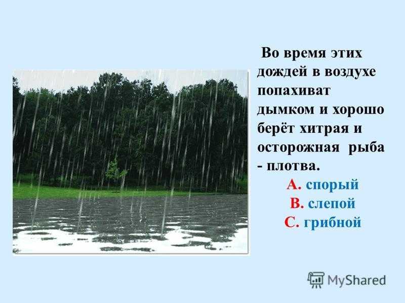 Слепой дождь: что это значит и каково его определение для 3 класса? - znaetskazhet.ru