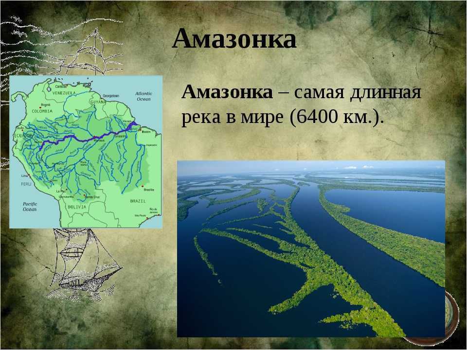 Река амазонка: длина в километрах, приток, кто водится в водах - история и культура