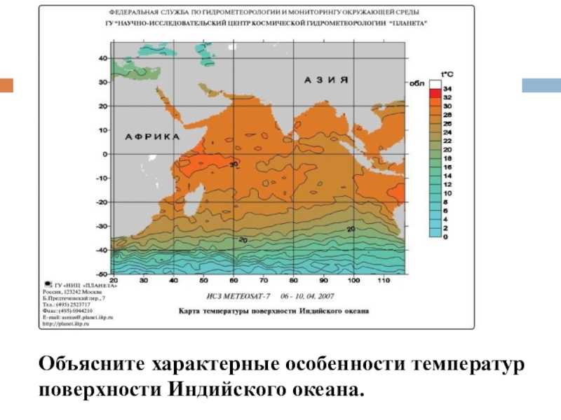 Тихий океан - общие характеристики и особенности органического мира