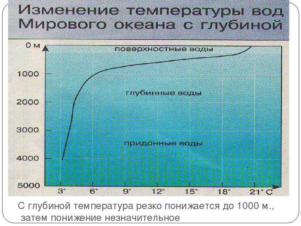 Климат тихого океана (9 фото): в каких климатических поясах расположен, количество осадков, средняя температура поверхностных вод