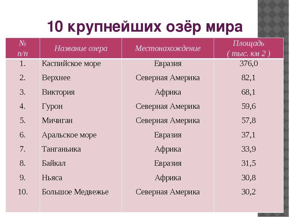 Рыбалка в ленинградской области: лучшие водоемы, карта и описание мест для рыбалки в санкт-петербурге и области
