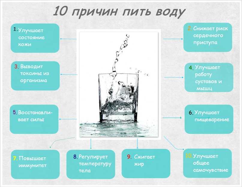 Научное обоснование: почему важно пить воду сидя
