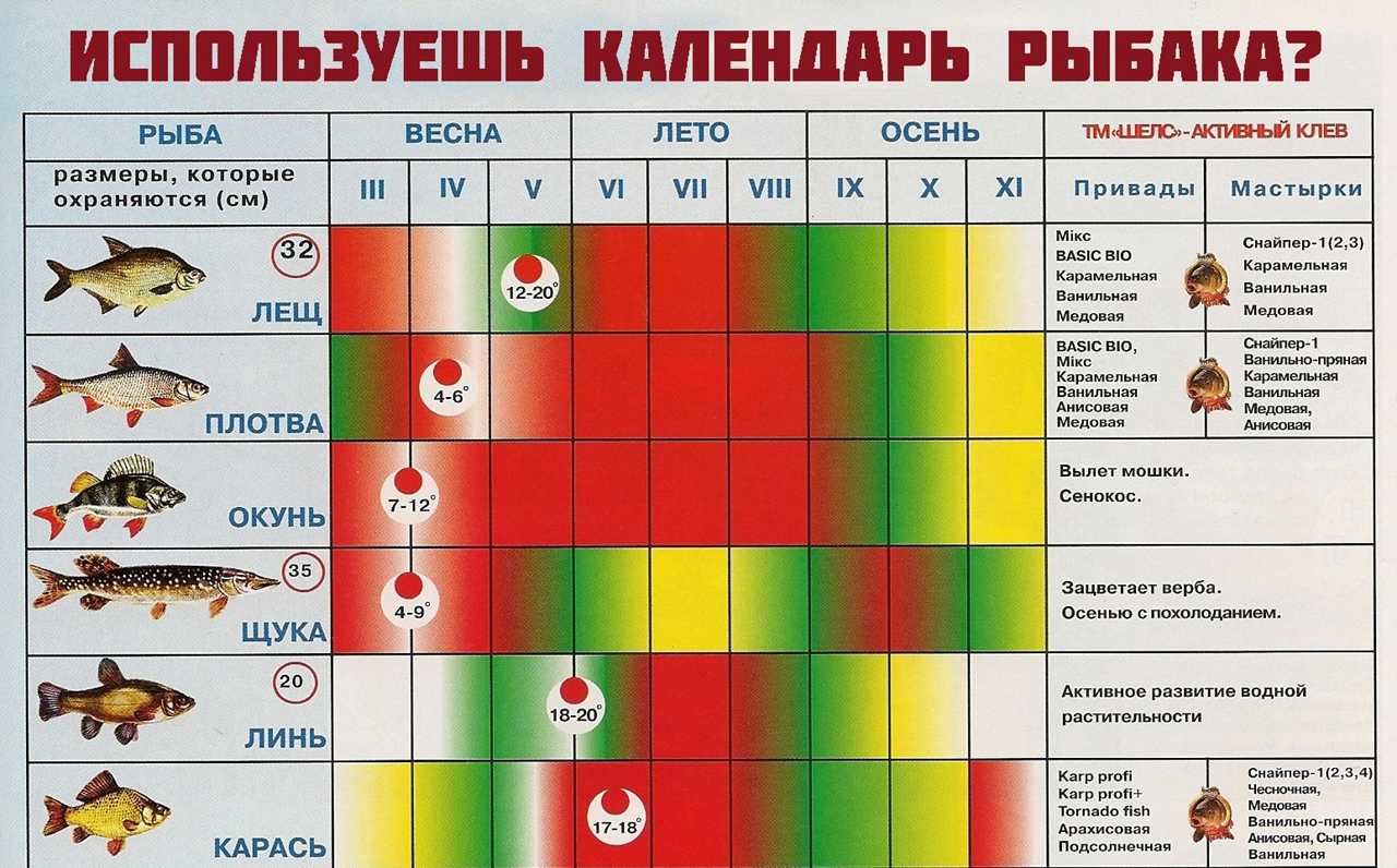 Озеро белое