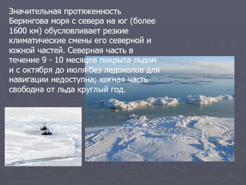 Географические характеристики берингова моря - profanswer.ru