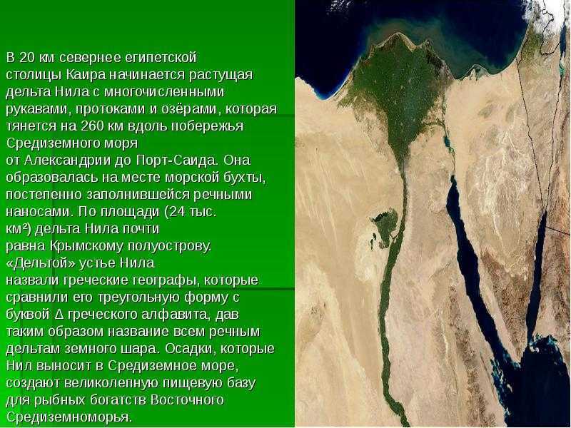 🌊река нил: притоки, исток, устье, карта, фотогаллерея