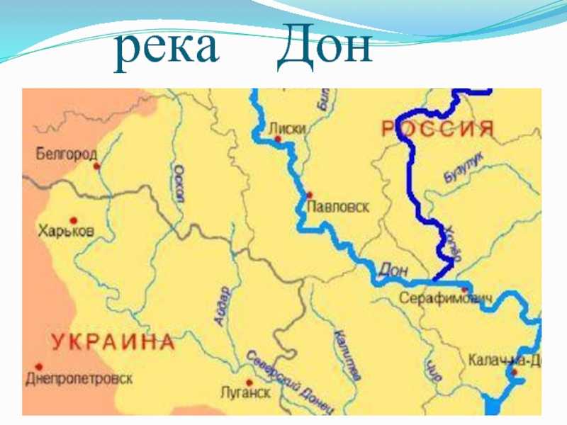 Где протекает река дон: через какие области течет, где находится на карте мира, где расположена в россии, по каким территориям проходит?