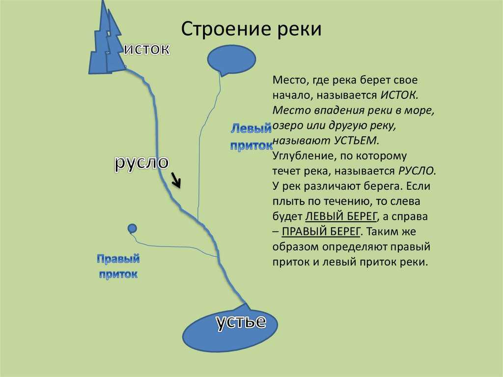 Дон | ростов-дон вики | fandom