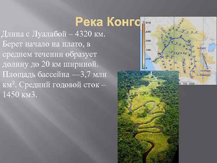 Конго (река)