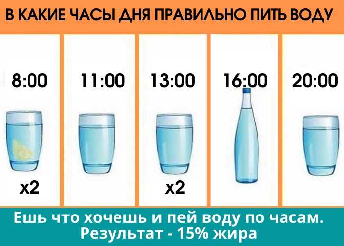 Мнение врачей: сколько нужно пить воды на самом деле