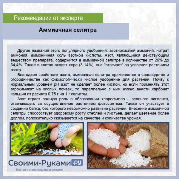 Кефир как удобрение для томатов, огурцов, гортензии, перцев, клубники, отзывы