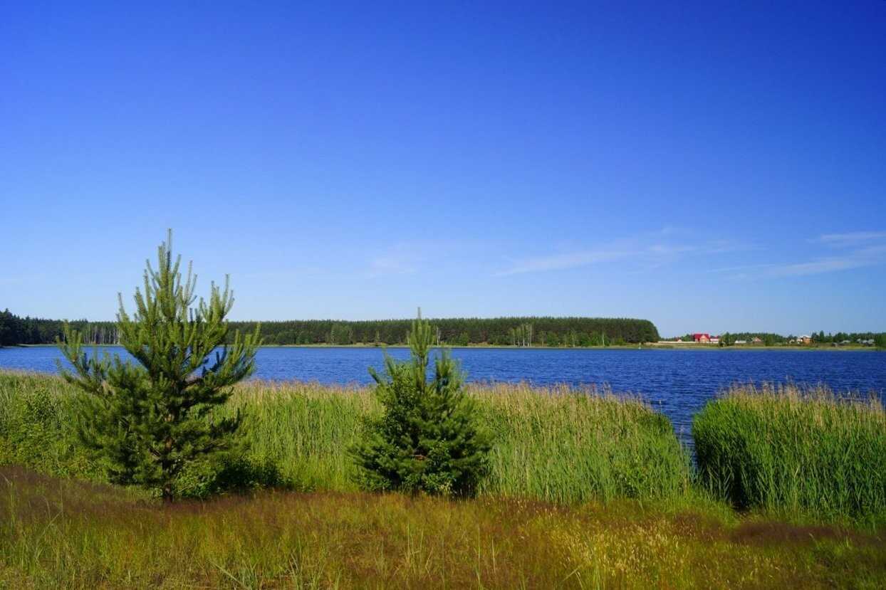 Клепиковские озёра, рязанская область. рыбалка, озеро белое. отели рядом, фото, видео, как добраться