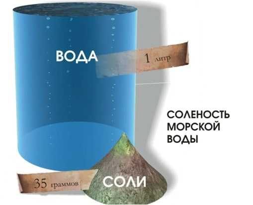 Какая вода в океане: пресная или соленая