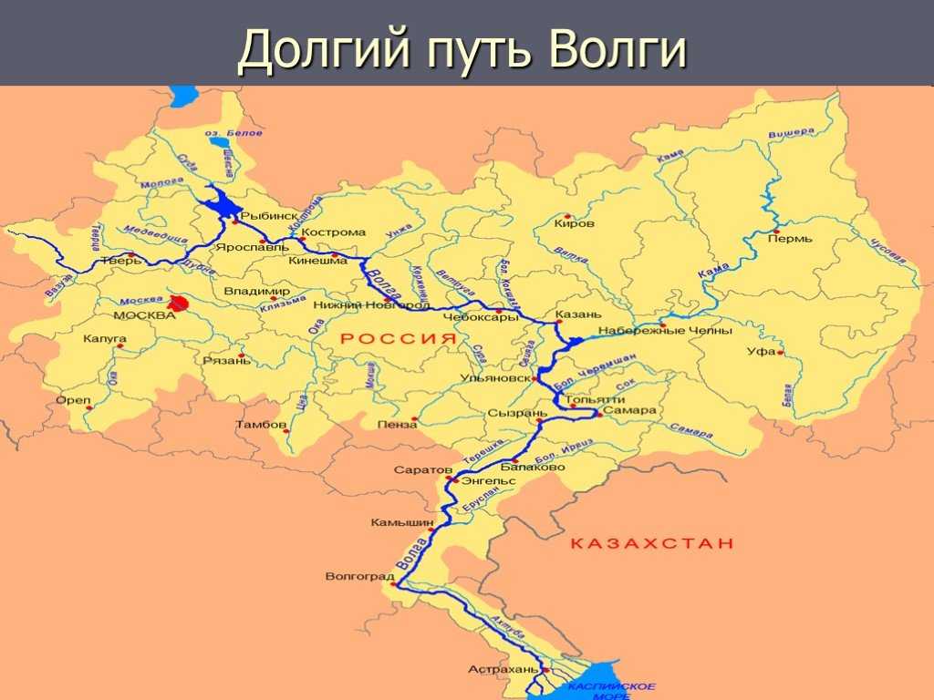 Река дон: куда впадает, откуда берет начало, истоки, протяженность, глубина, притоки и судоходство
