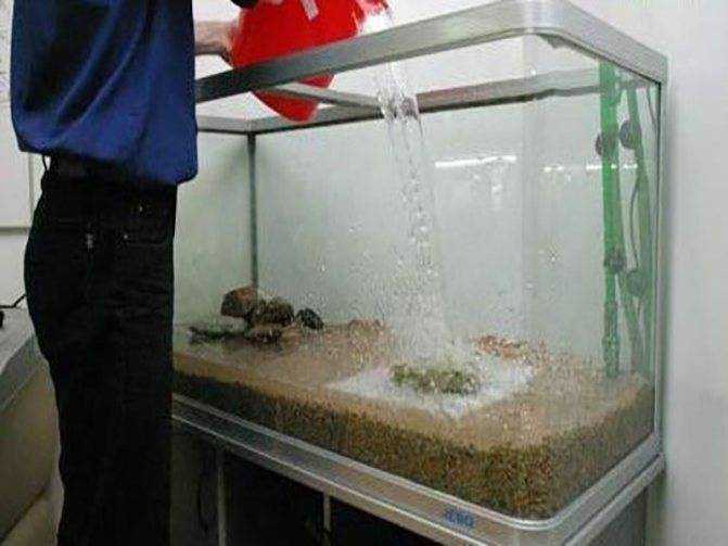 Вода для аквариума: зачем и почему нужно отстаивать воду, как правильно и сколько отстаивать, какая температура воды должна быть и что такое ph воды