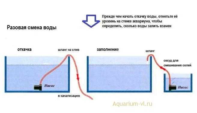 Как сделать морскую воду для аквариума?