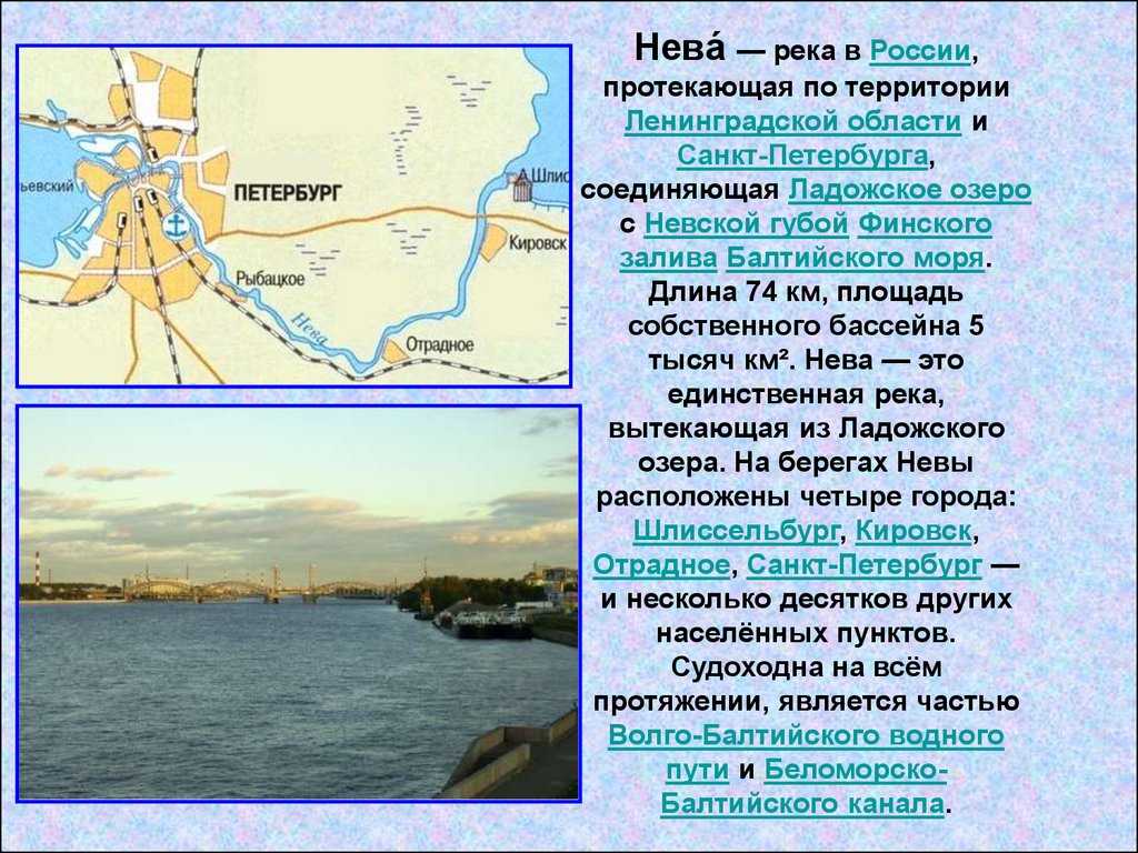 Река нева: притоки и исток, гидрология, судоходство