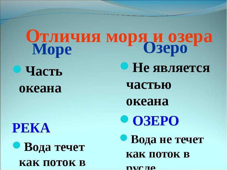 Озеро или пруд: различия и особенности