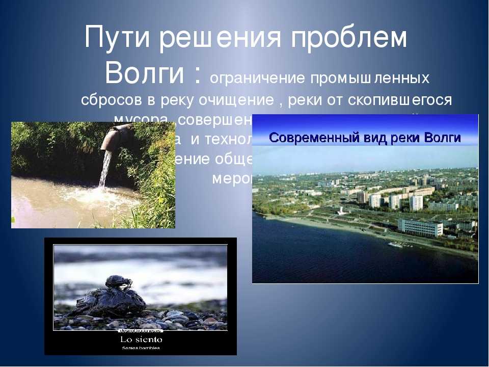 Река дон – старший брат волги