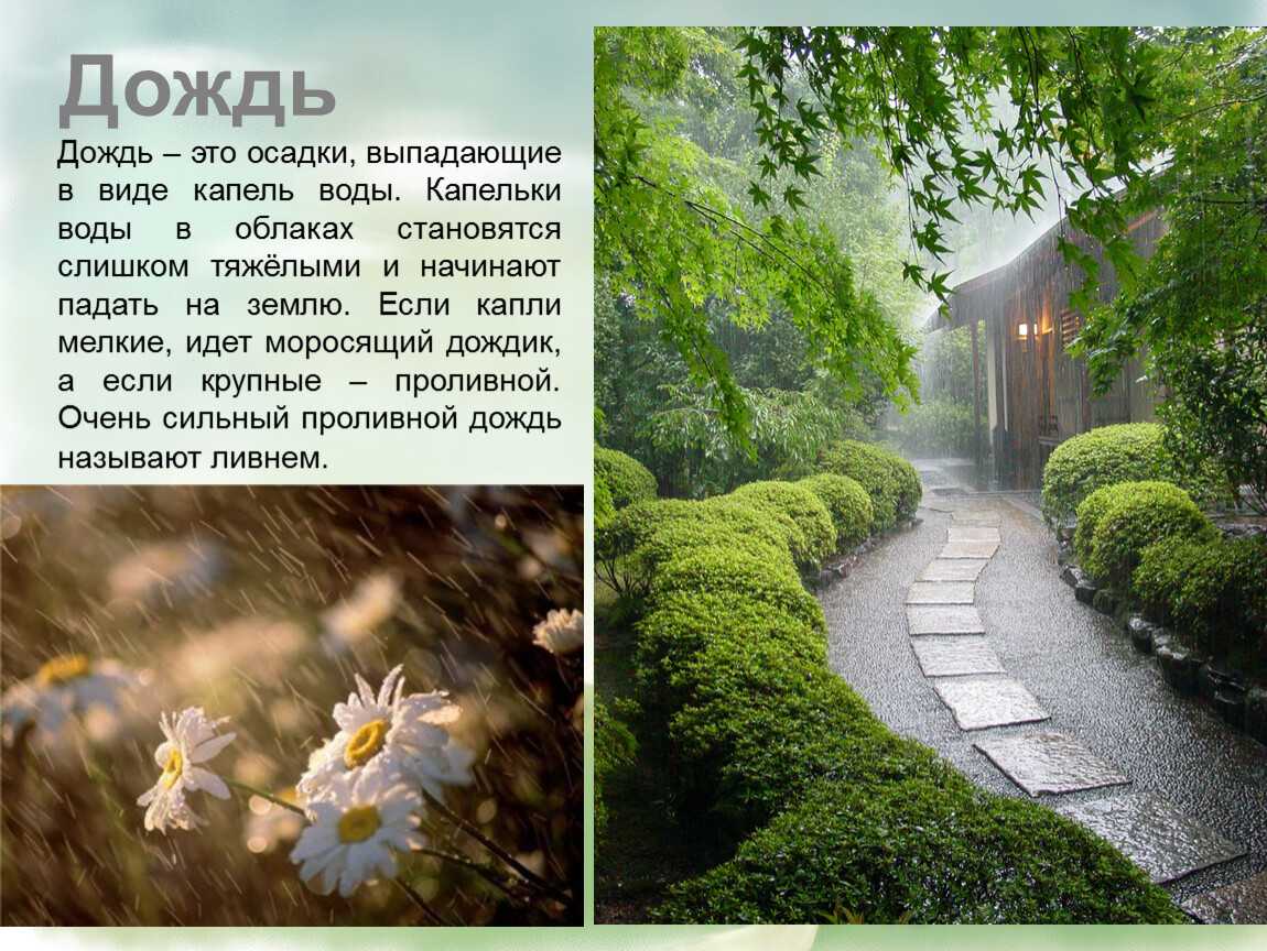 Виды дождей: ливень, косохлест и ситничек