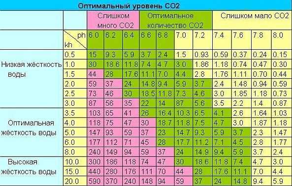 Аквариумный роголистник: содержание, выращивание и виды, размножение