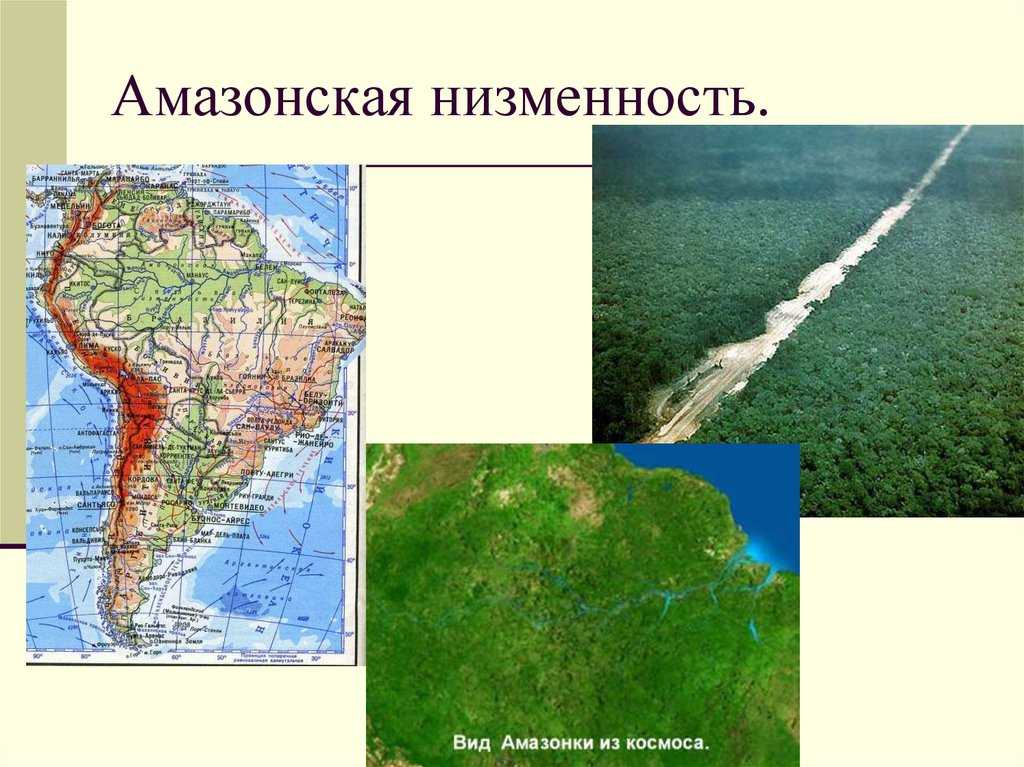 Амазонская низменность презентация, доклад
