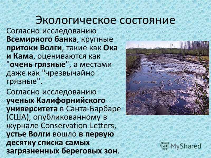 Изменения экологической обстановки на реке волга в чём проблемы | мк-союз.рф