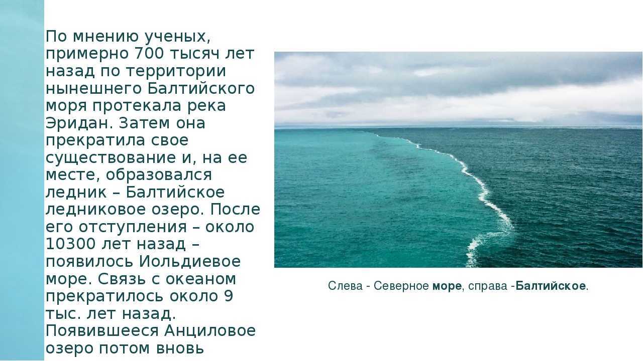 Балтийское море: характеристика, флора, фауна и экономика | сетевая метеорология