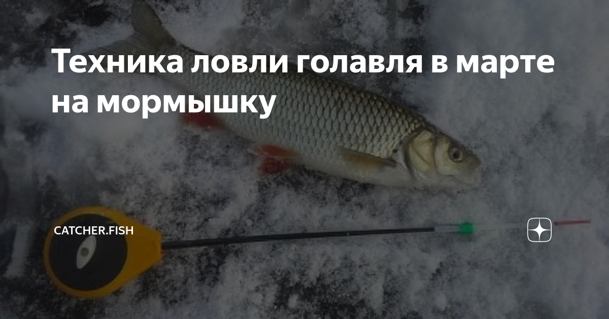Длина реки урал: какова протяженность, где протекает, факторы, которые влияют или влияли на параметр, сравнение с другими водными артериями россии