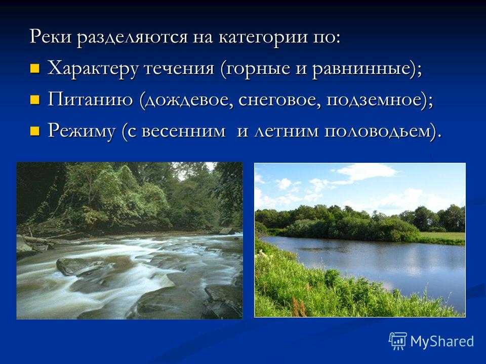 Река дон - города на реке, где берет начало, глубина, название, притоки, сплав и рыбалка