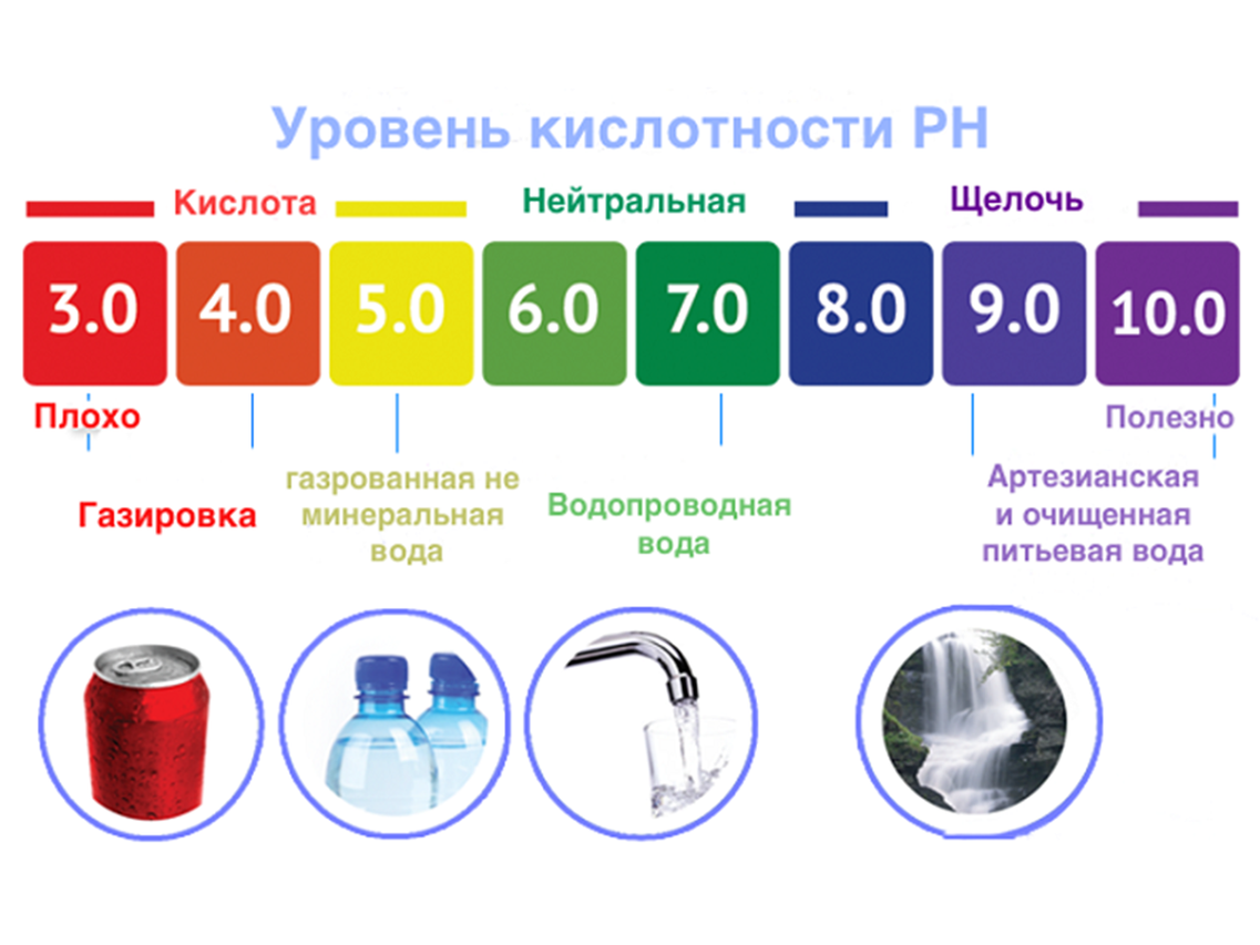 Платидорас «поющий сом»: описание, условия содержания и разведения