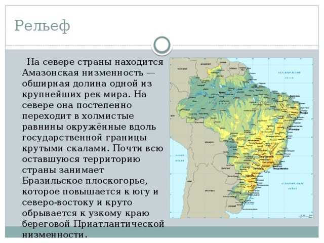 Амазонская низменность