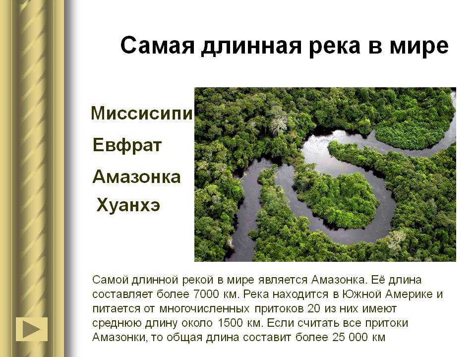 Своенравная рекордсменка – река амазонка