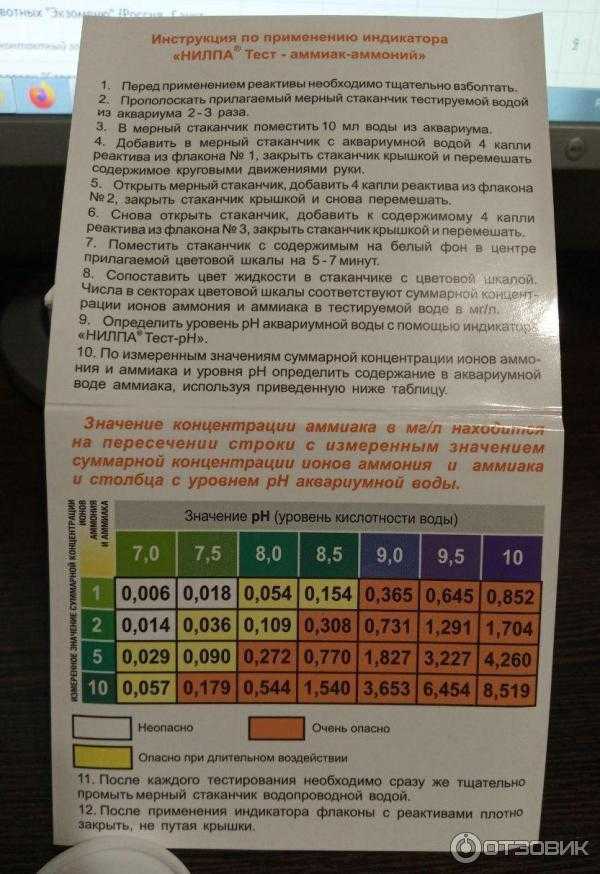 Почему мутнеет вода в аквариуме: как найти причину и устранить