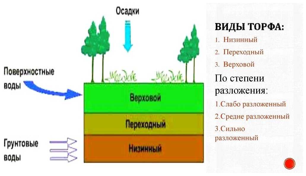 Черный турмалин: кому подходит, магические, лечебные свойства