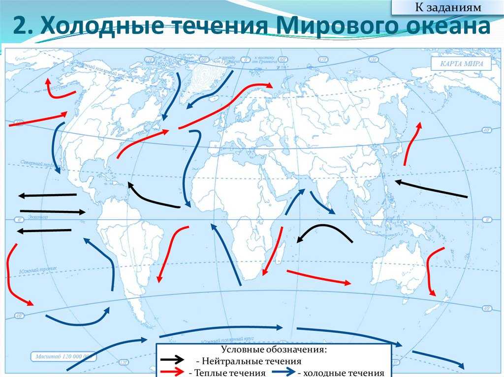 Тихий океан