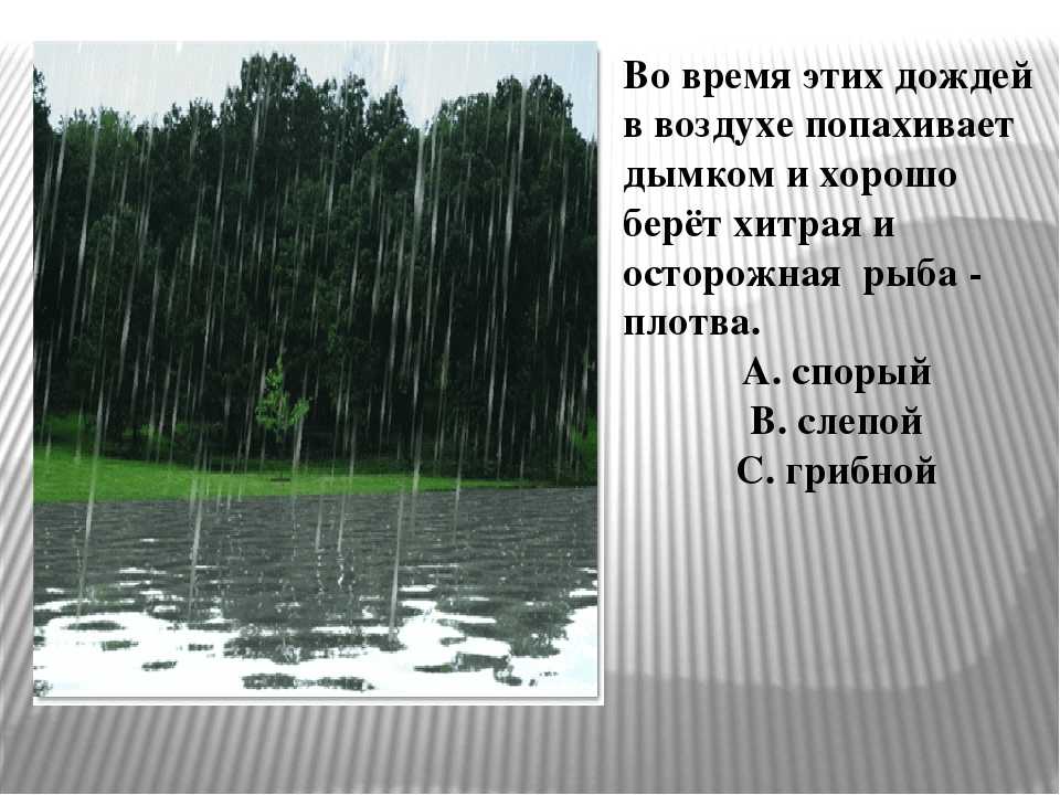 Выражение "слепой дождь": значение и толкование - inf-gurutut.ru