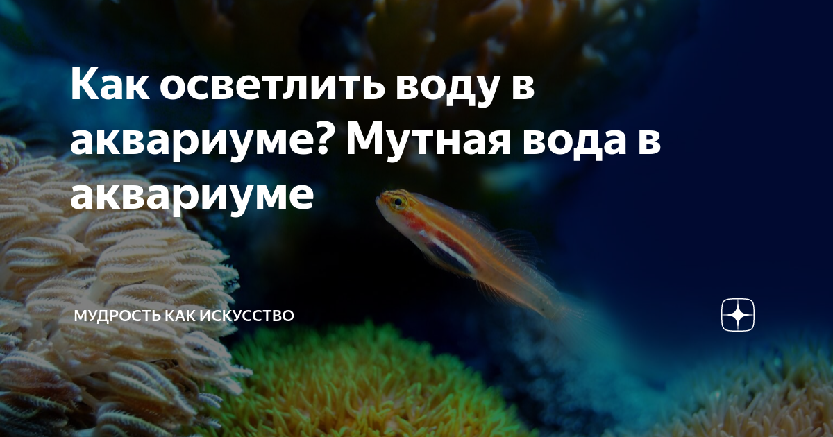 Вода для аквариума, что нужно знать?! • блог аквариумиста аква-ас