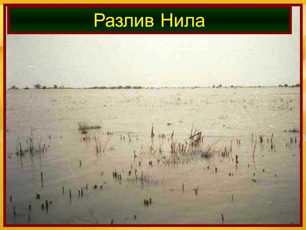 Почему река нил испытывает такие изменения?