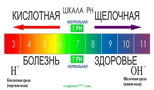 Можно ли обойтись без фильтра в дачном бассейне - septik.guru
можно ли обойтись без фильтра в дачном бассейне - septik.guru