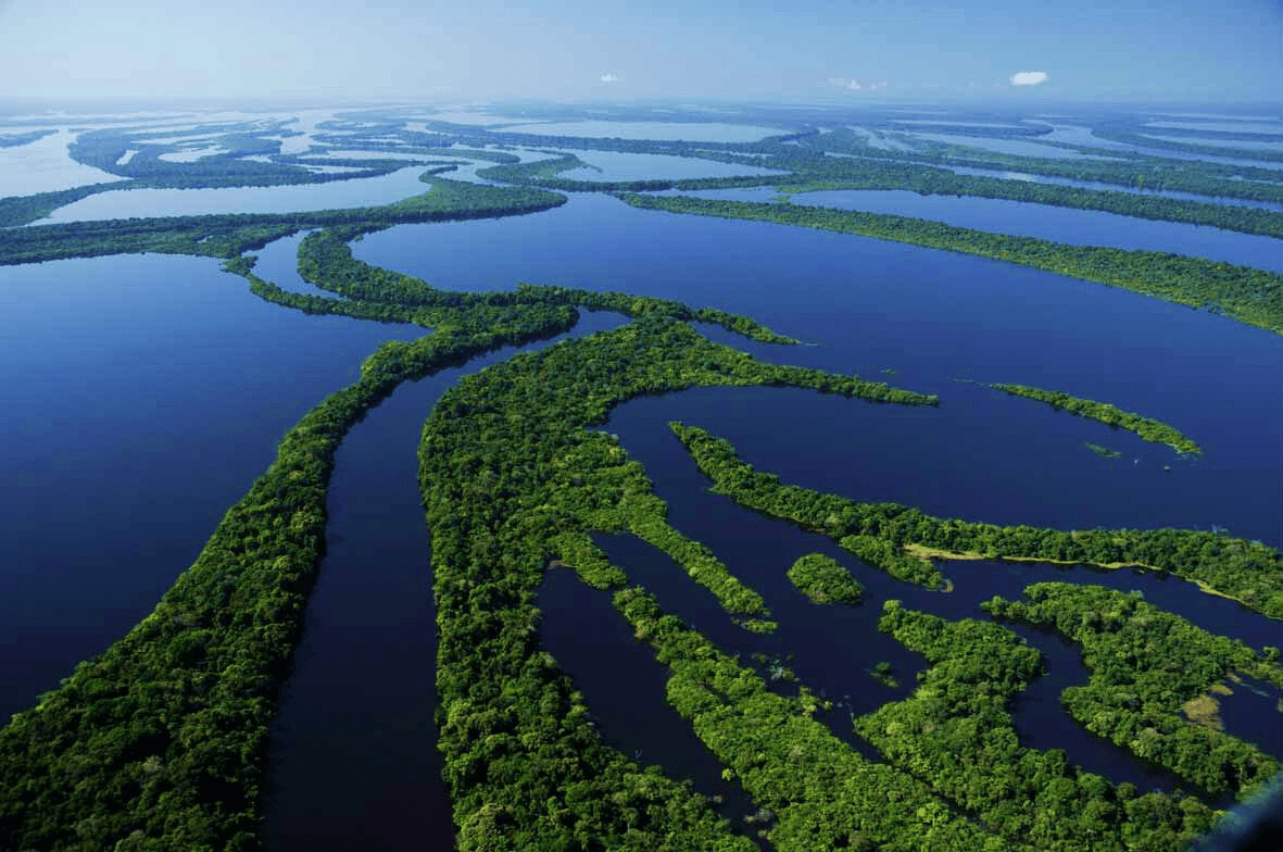 Бассейн амазонки