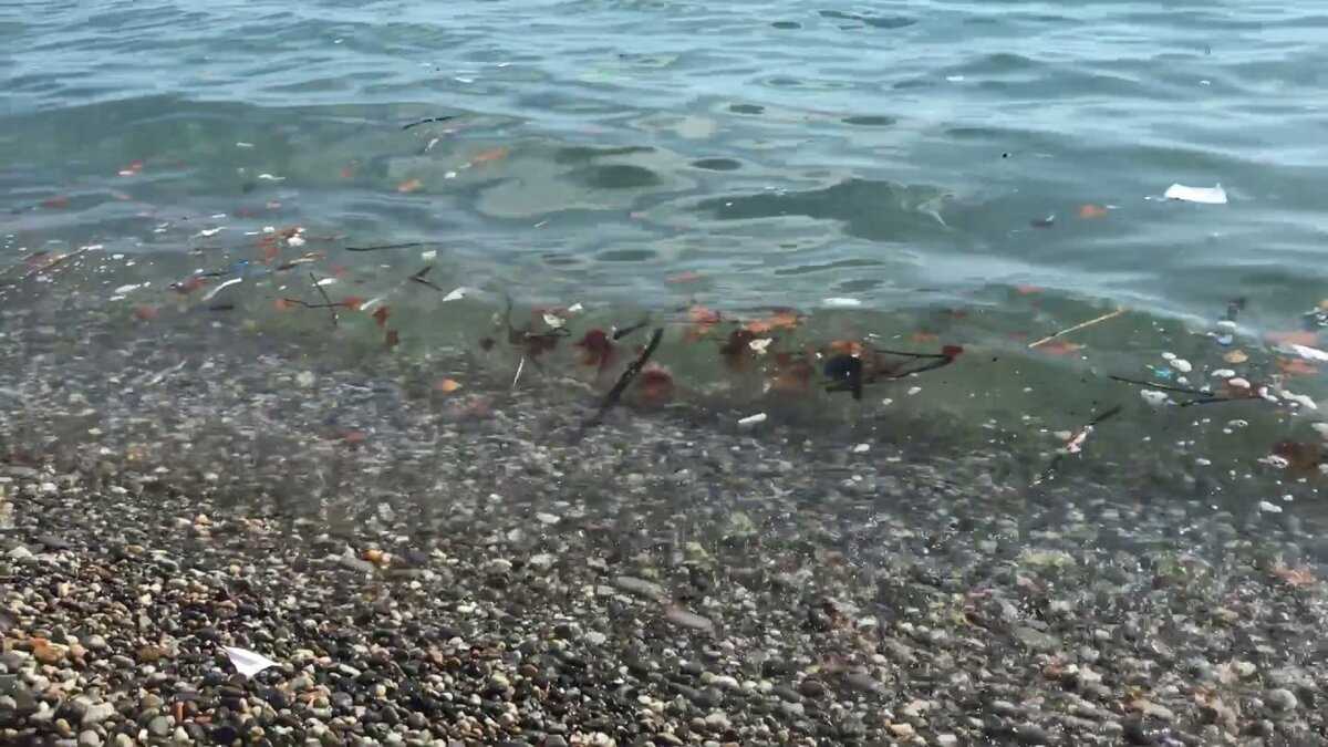 Какое самое загрязненное море на планете: топ самых грязных водных пространств