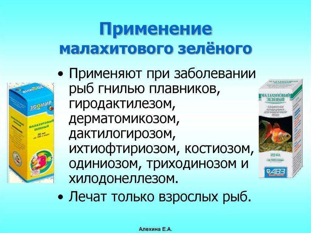 Плавниковая гниль рыб: лечение в общем аквариуме, симптомы, фото