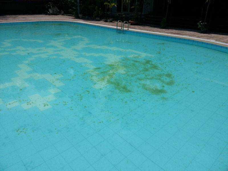 Средства для бассейнов чтобы вода была чистой