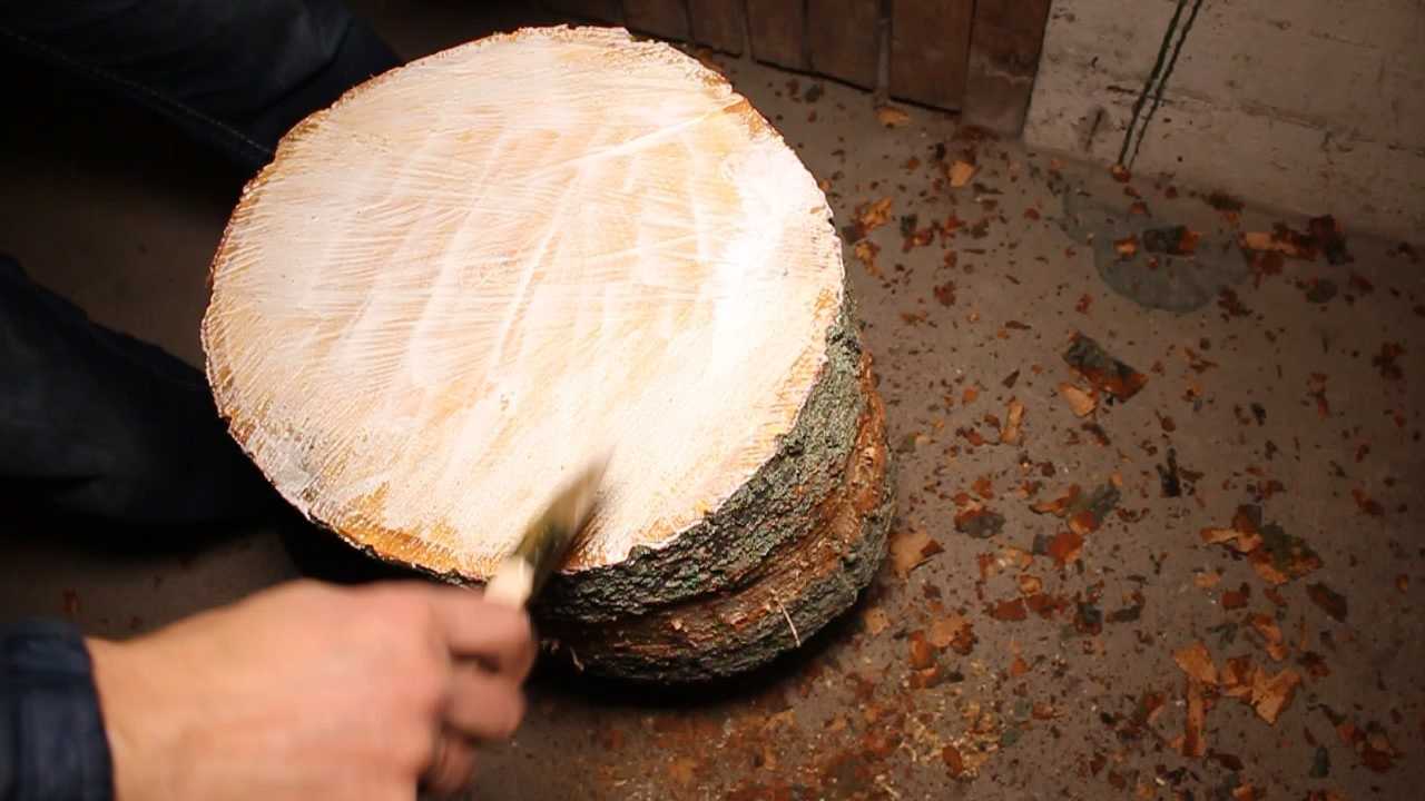 Чем полить дерево чтобы оно засохло?