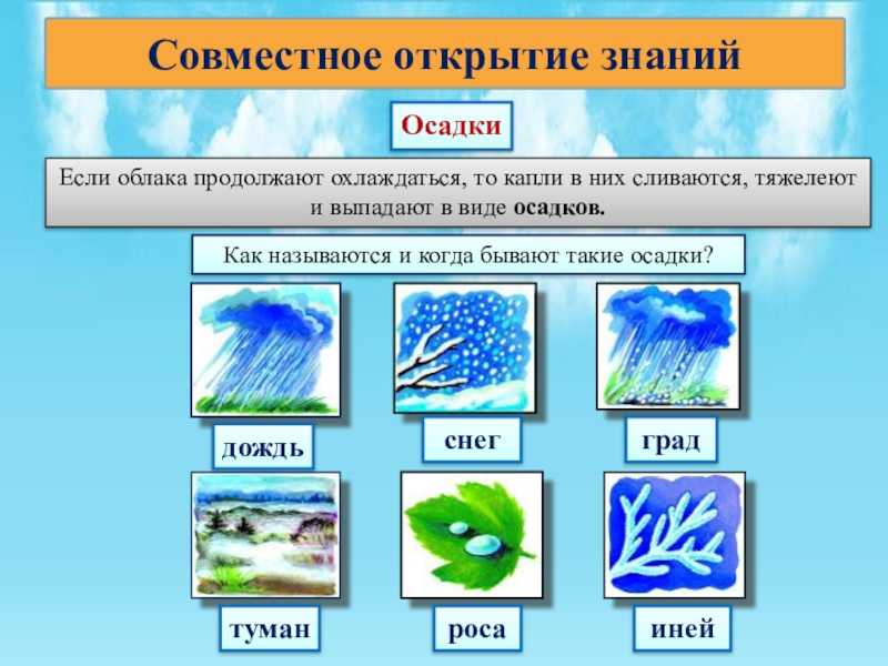 Что такое осадки? – как образуются, виды атмосферных осадков, определение кратко (6 класс, география)
