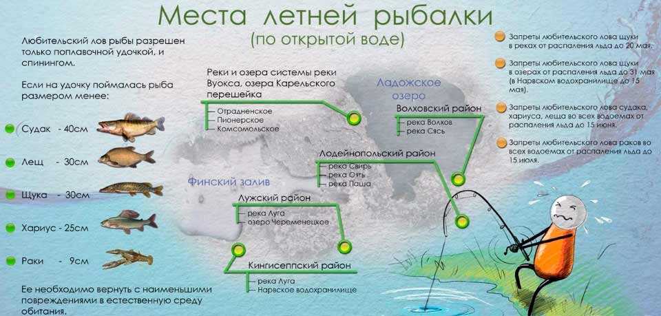 Озеро соколозеро: описание, рыбалка, отдых, глубины, как добраться